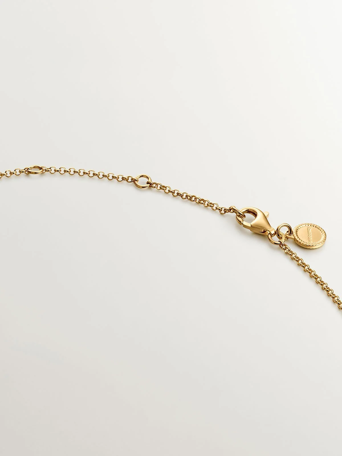 Colgante de plata 925 bañada en oro amarillo de 18K con alas - Image 7